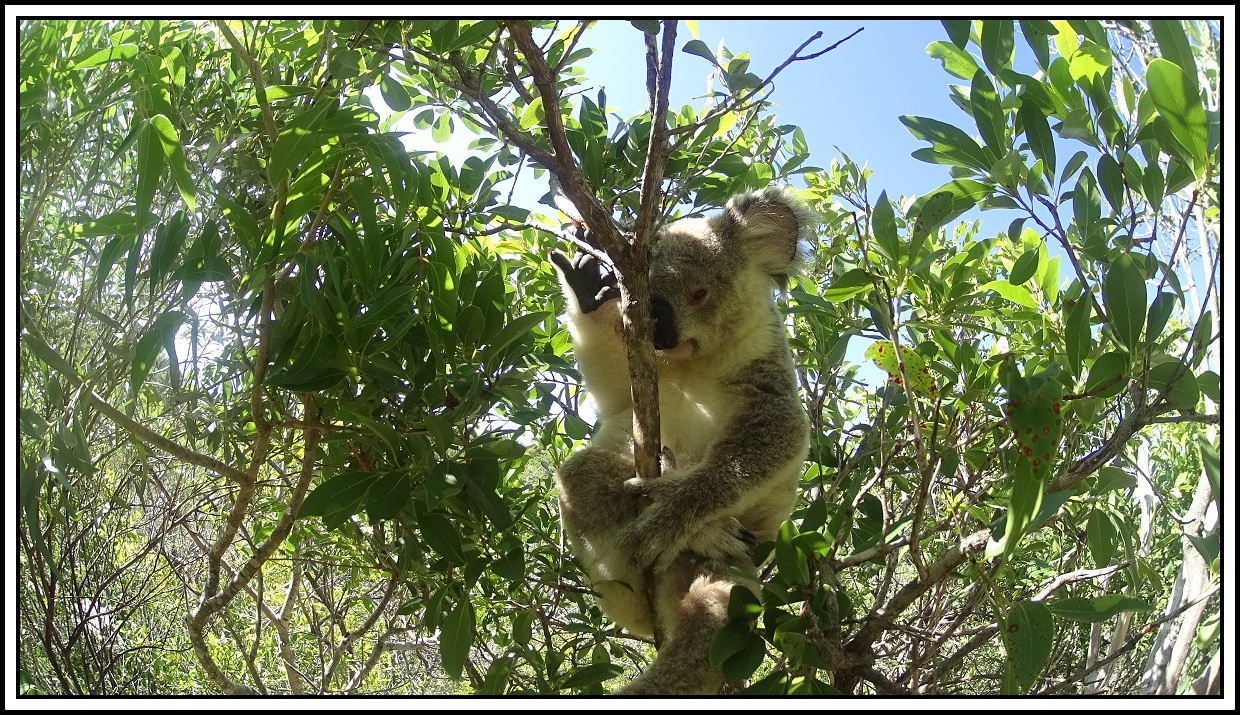 Island Reisen ohne Ballast
