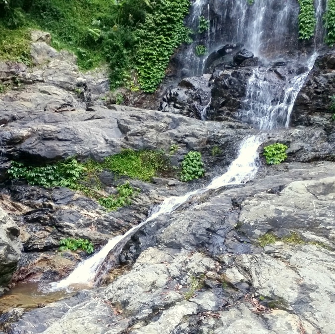 Dorrigo Waterfall